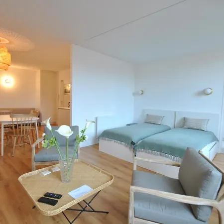 Marechal Foch / Gold2025 / St Apartment Cannes
